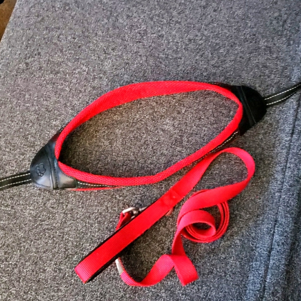Top Paw 🐾 ❤ Harness and Leash